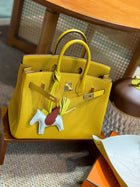 Hermes Birkin 25