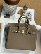 Hermes Birkin 25