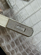Hermes birkin in Himalaya Original Niloticus Crocodile leather